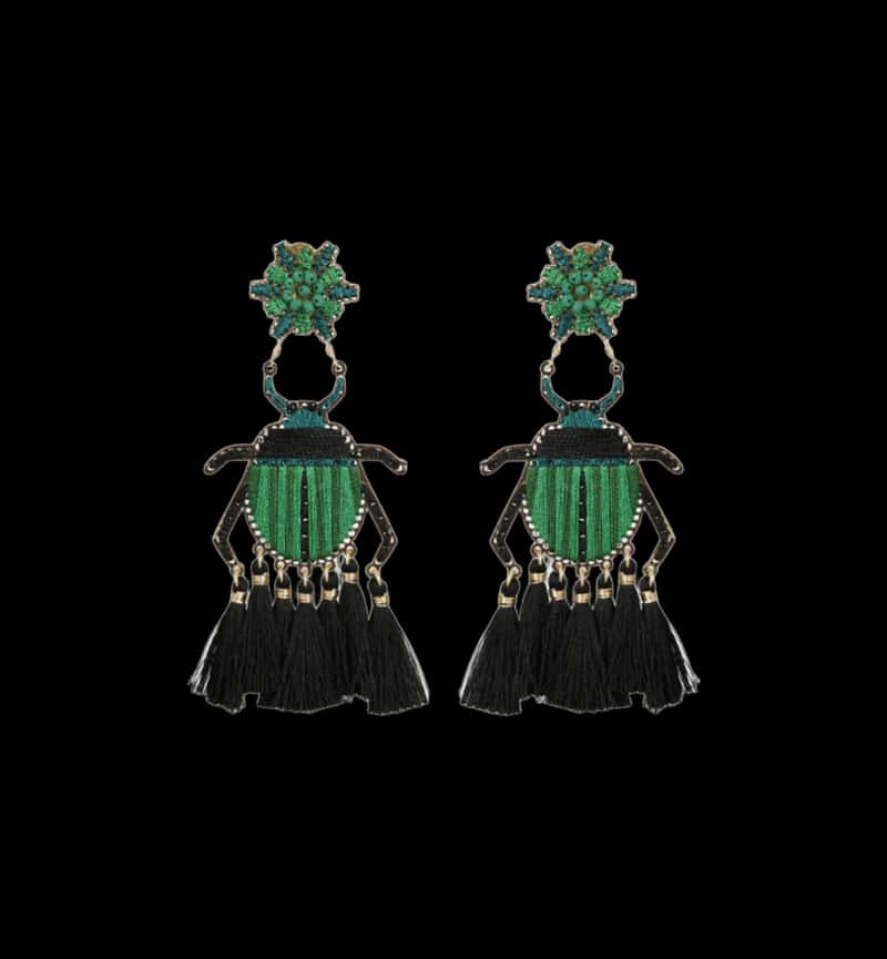 Aretes Beetle