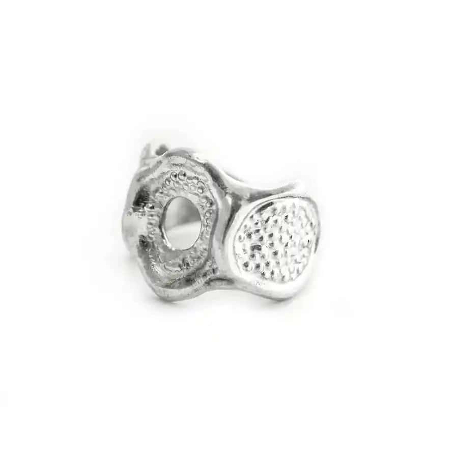 Anillo Diatomea