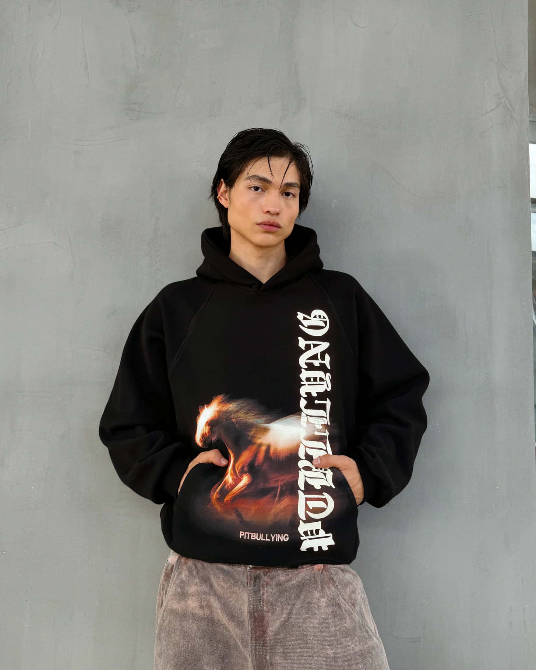 HOODIE CABALLO DE FUEGO - miniatura 5