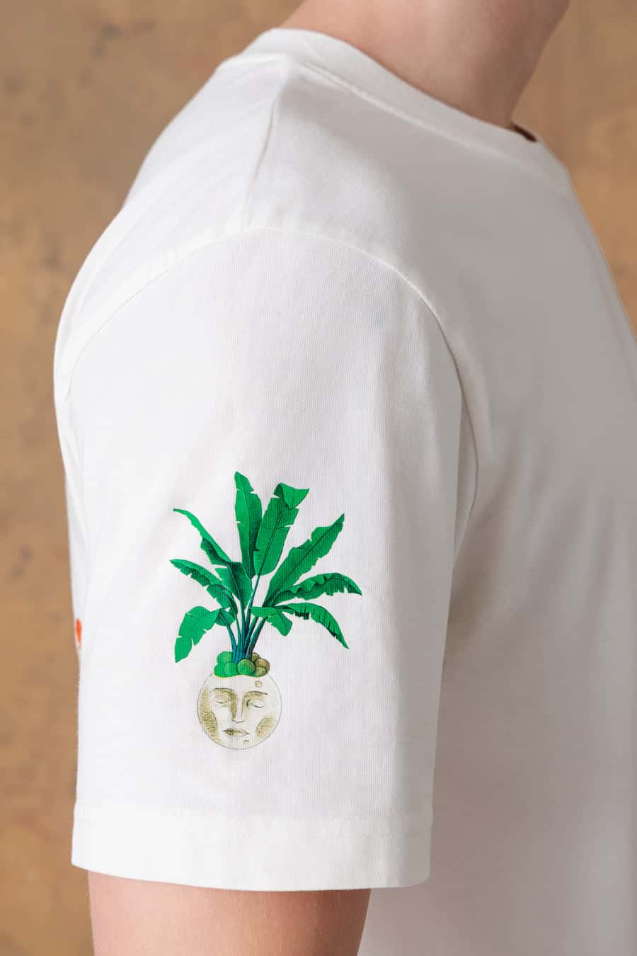 Men's cotton t-shirt panteon white - miniatura 5