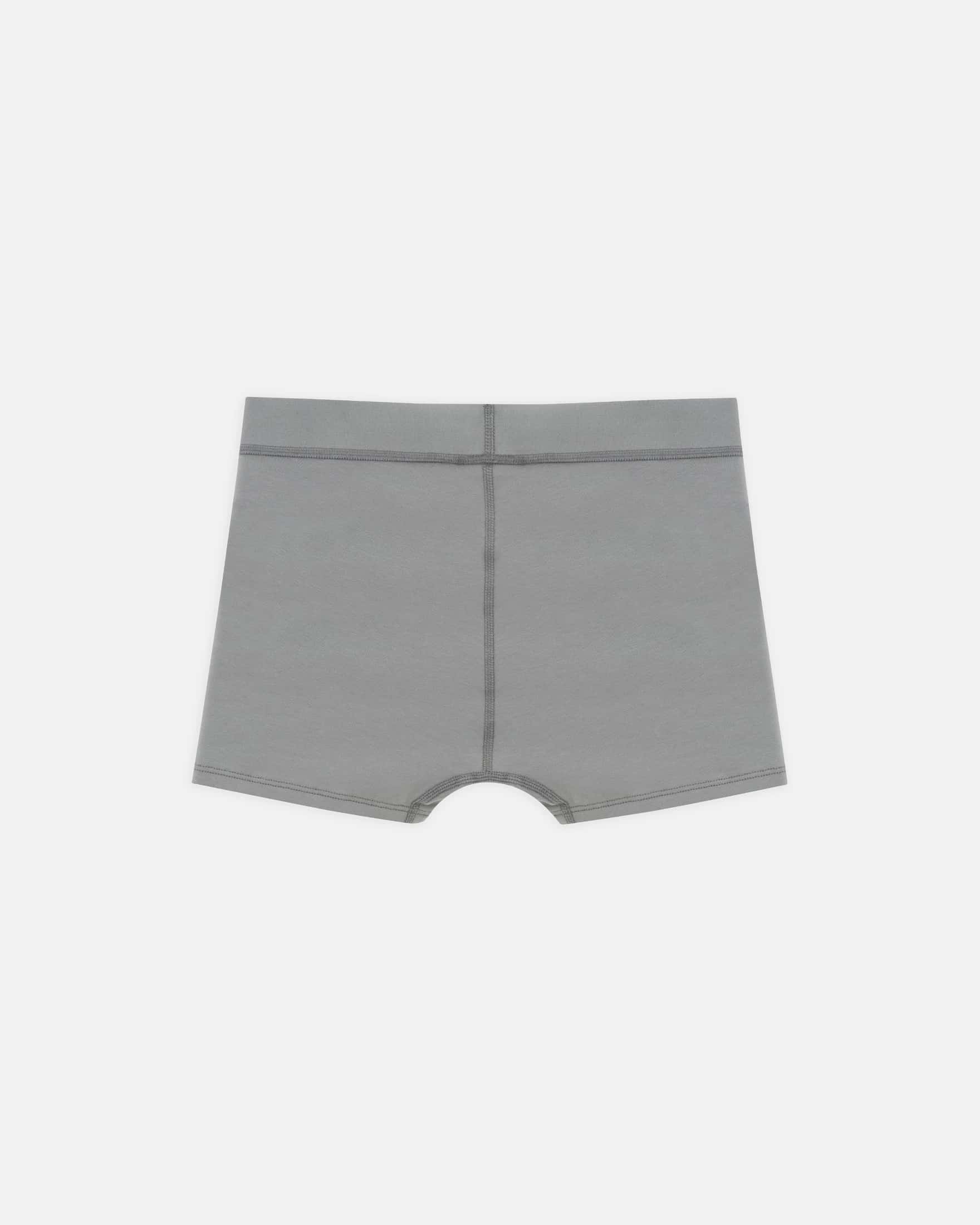 W Basics Boxers Gray - miniatura 3