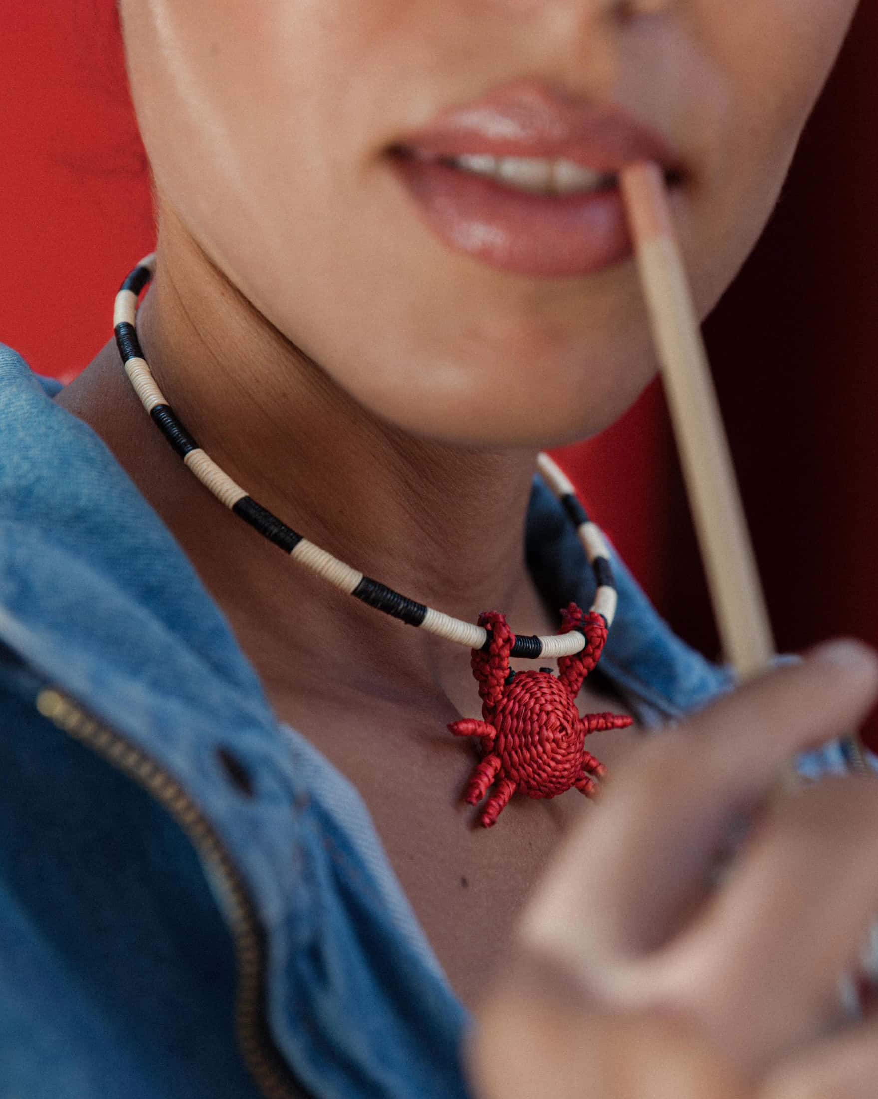 Clarte Choker Animal + 1 Removable Charm