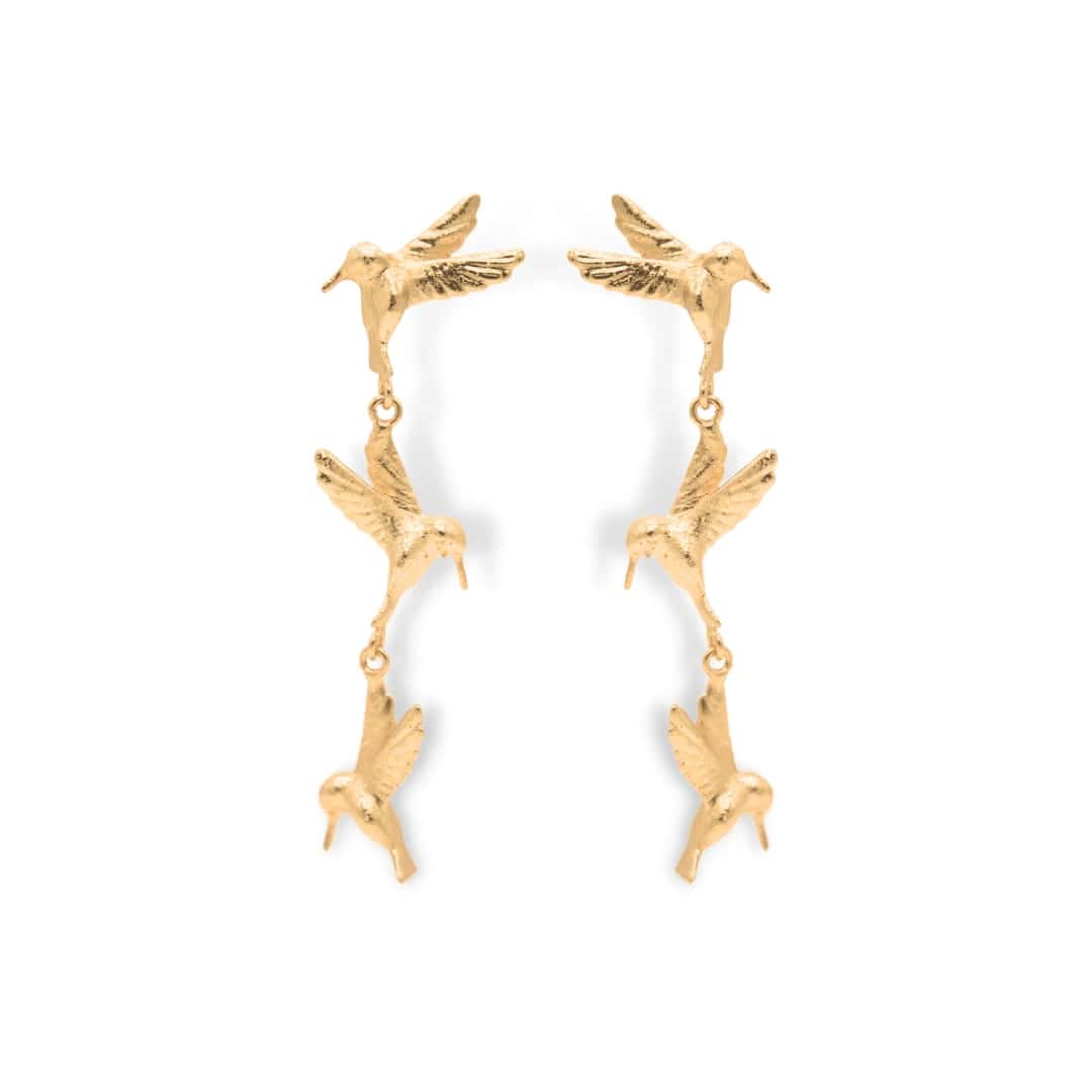Aretes largos de colibrí