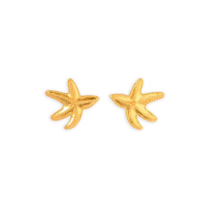 Topo Estrella De Mar