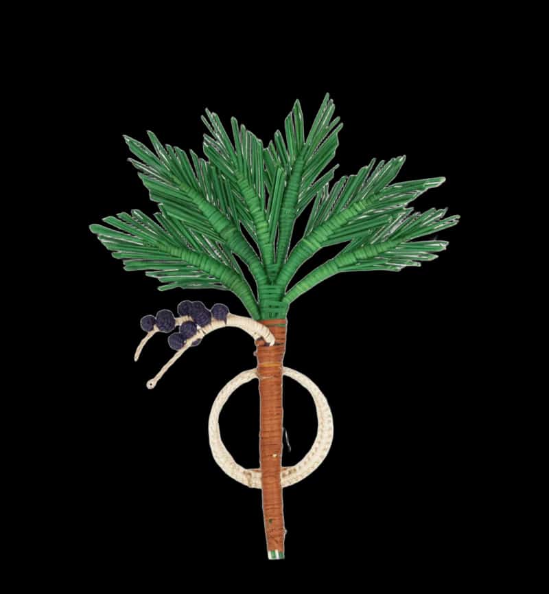 SERVILLETEROS - PALMERA DE AÇAI