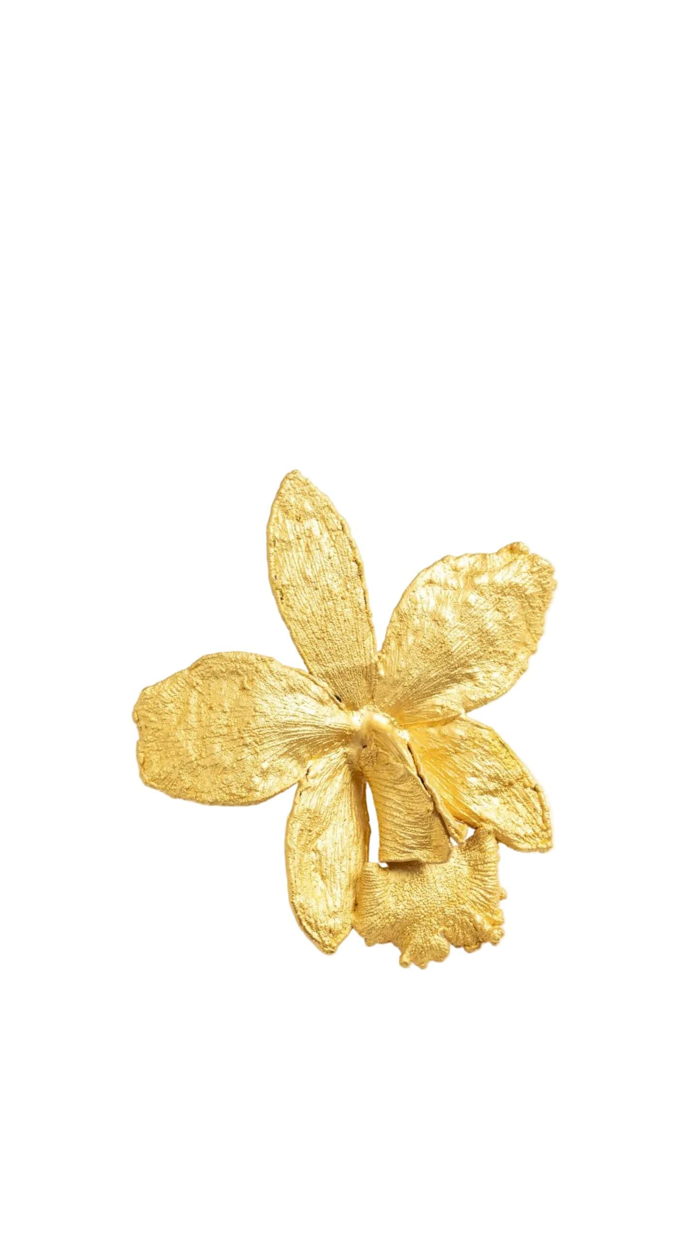 ANILLO ORQUÍDEA CATTLEYA