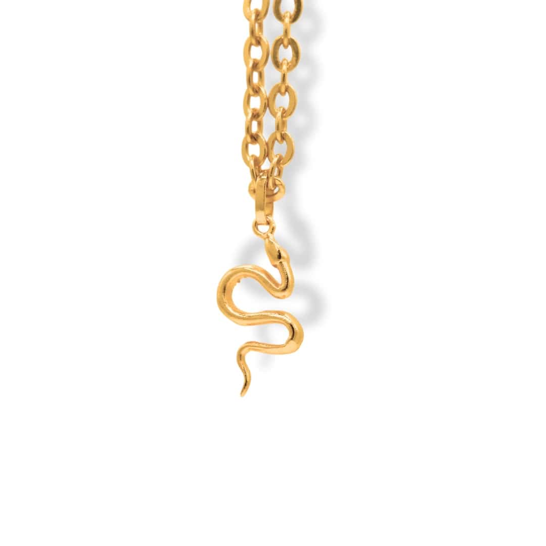 Cadena con serpiente grande