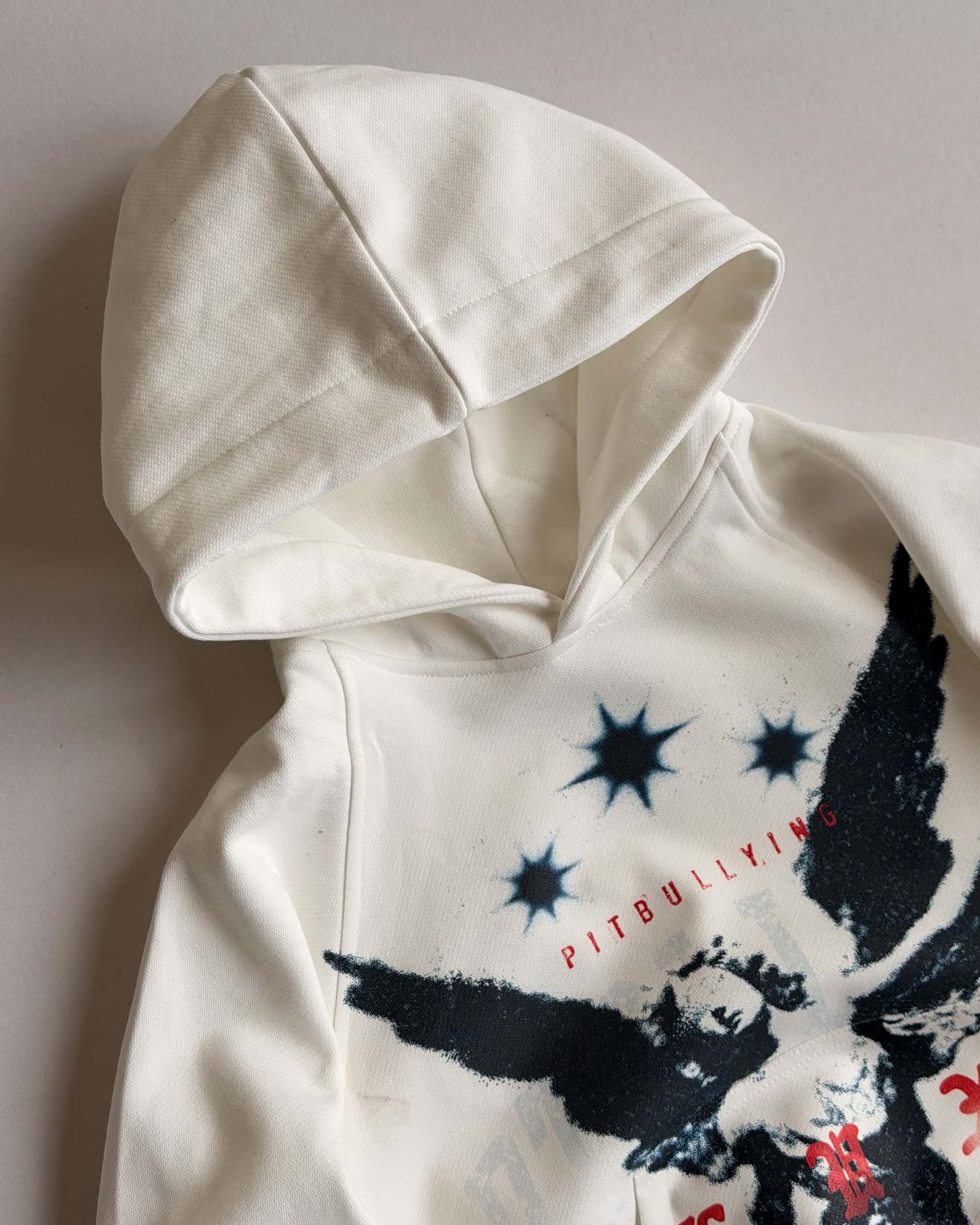 HOODIE OVERSIZE CRUDO ANGEL - miniatura 7