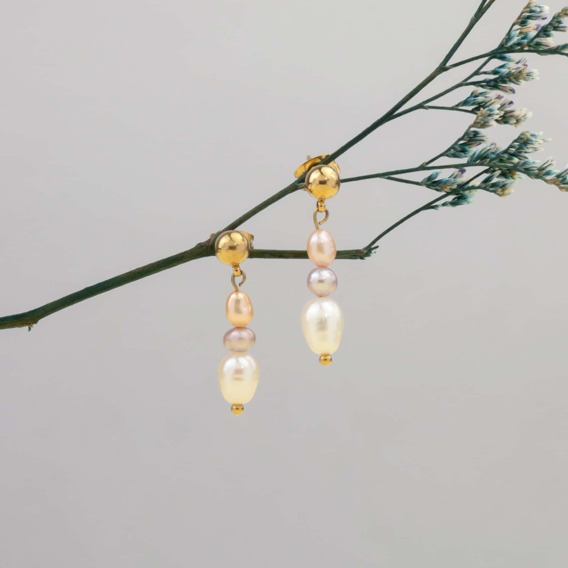 Aretes Aster