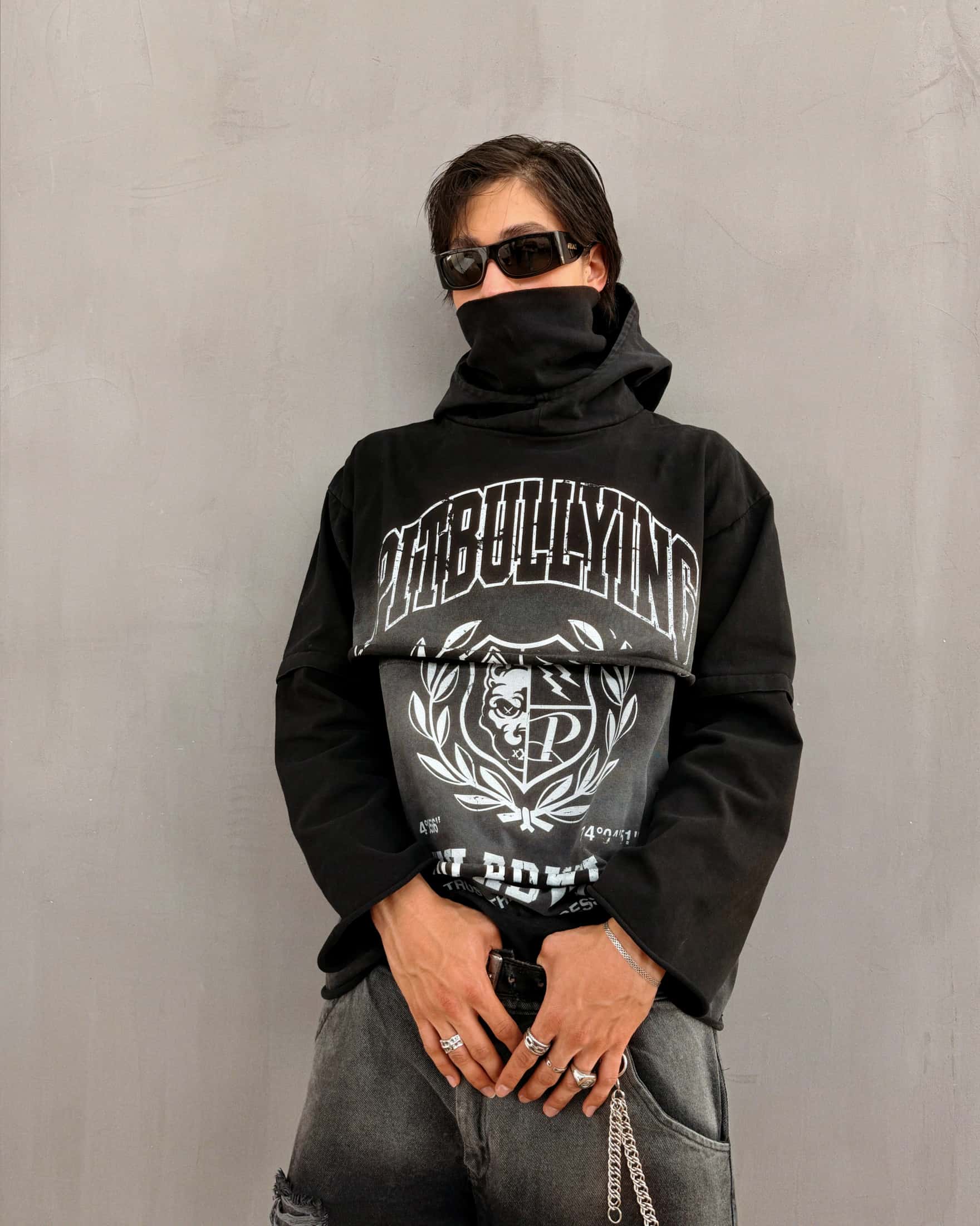 HOODIE LAYERS MASK PITBULLYING