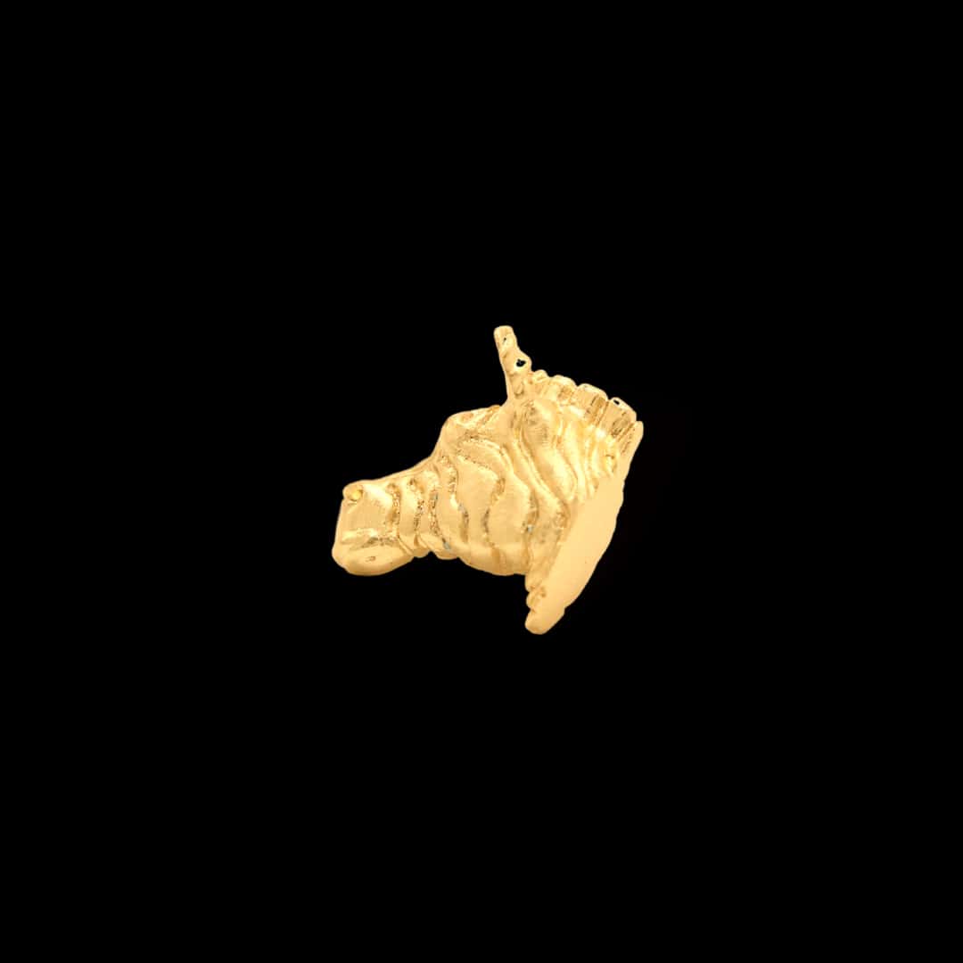 Pin de cebra