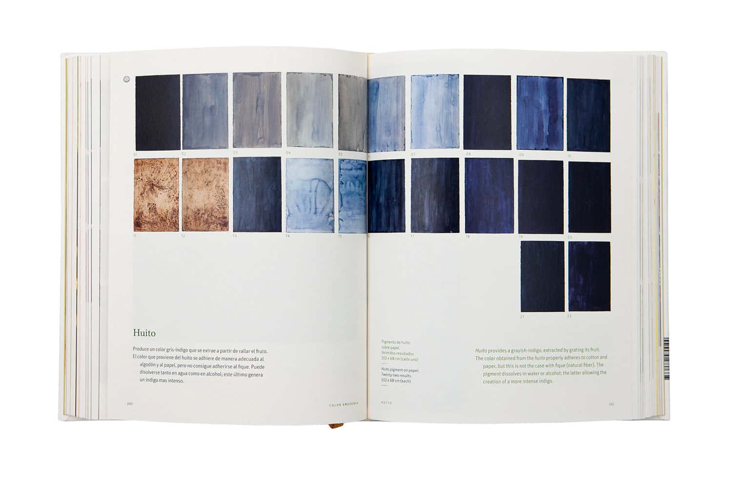 LIBRO COLOR AMAZONIA - miniatura 2