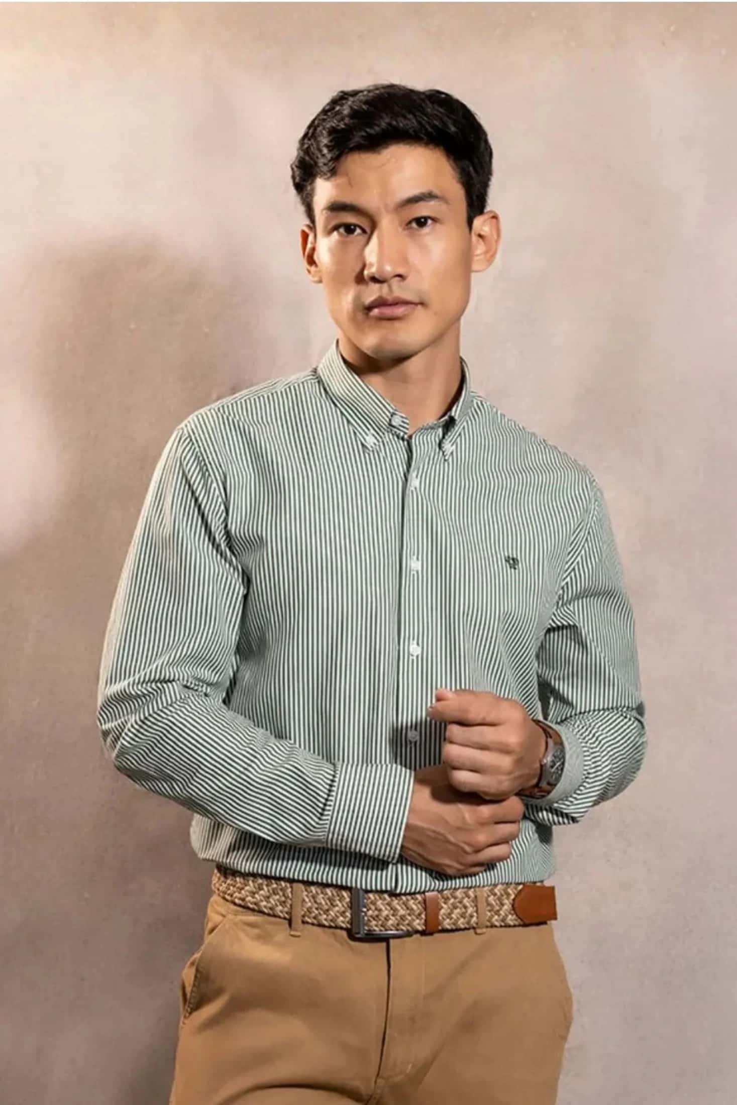 Camisa Antimanchas Popelina Rayas Verde Oscuro Logo Combinado