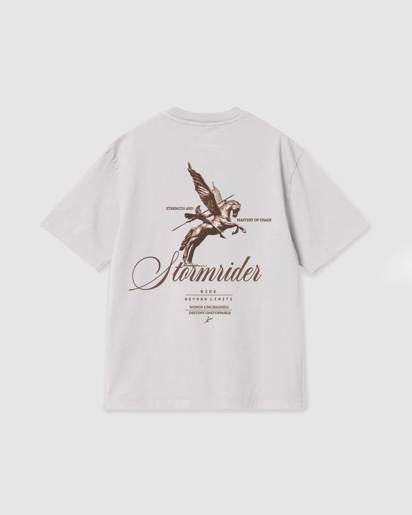 Oversized T Shirt Stormrider White