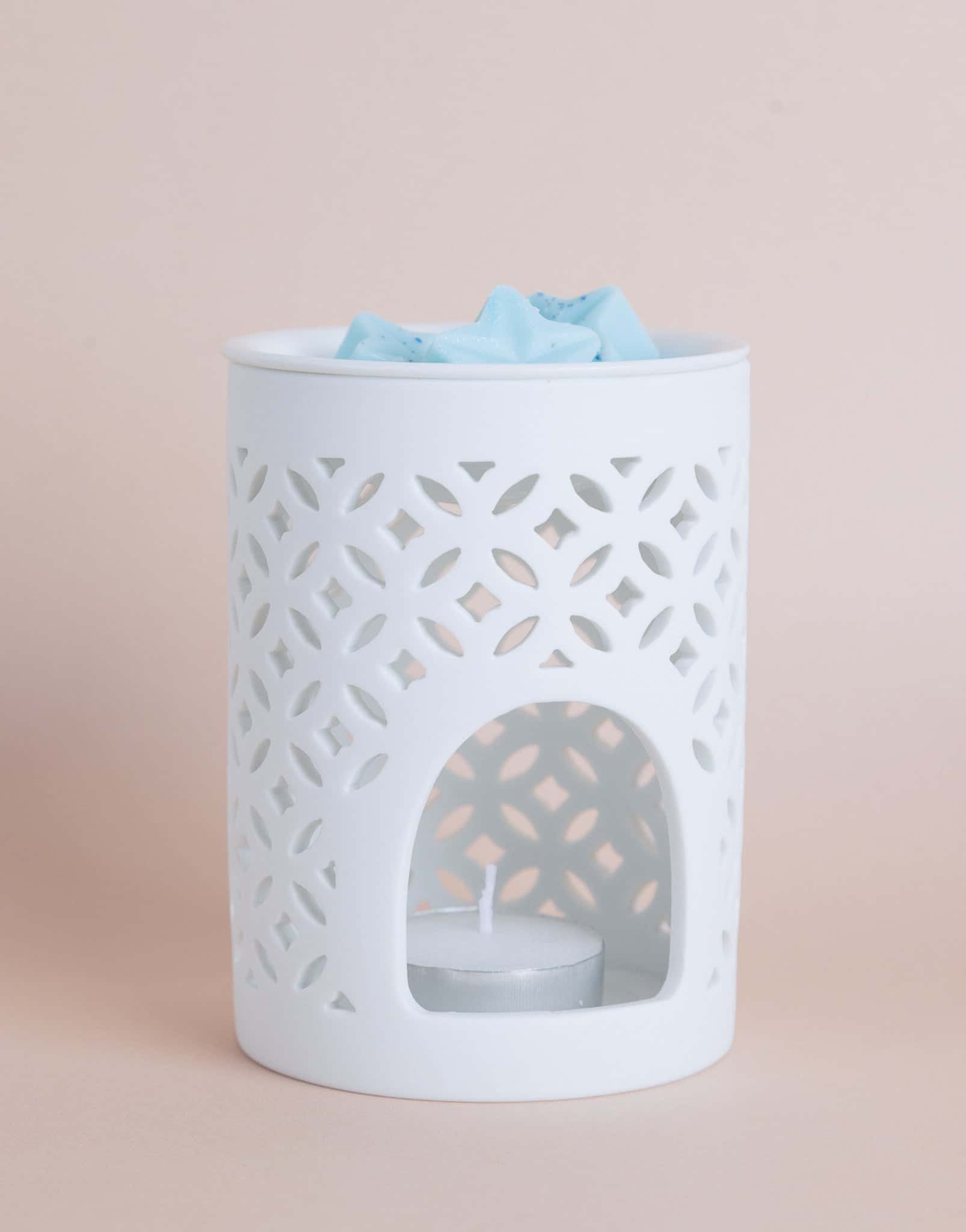 KIT WAX MELTS (Aromatiza tus espacios de forma intensa y rápida)