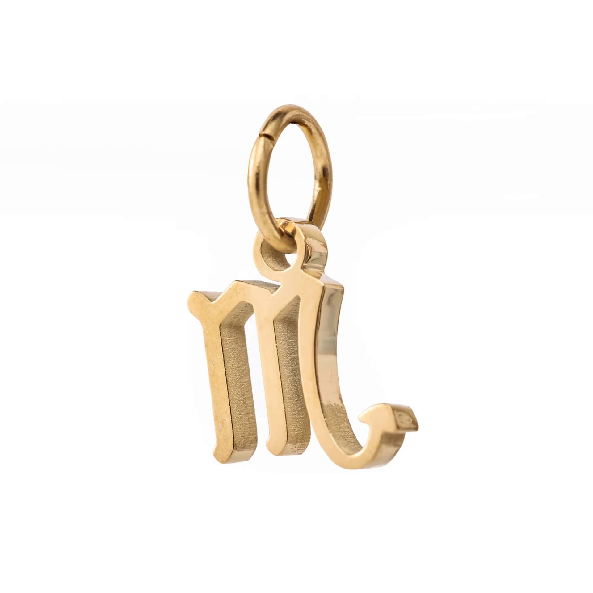 Charm Escorpio