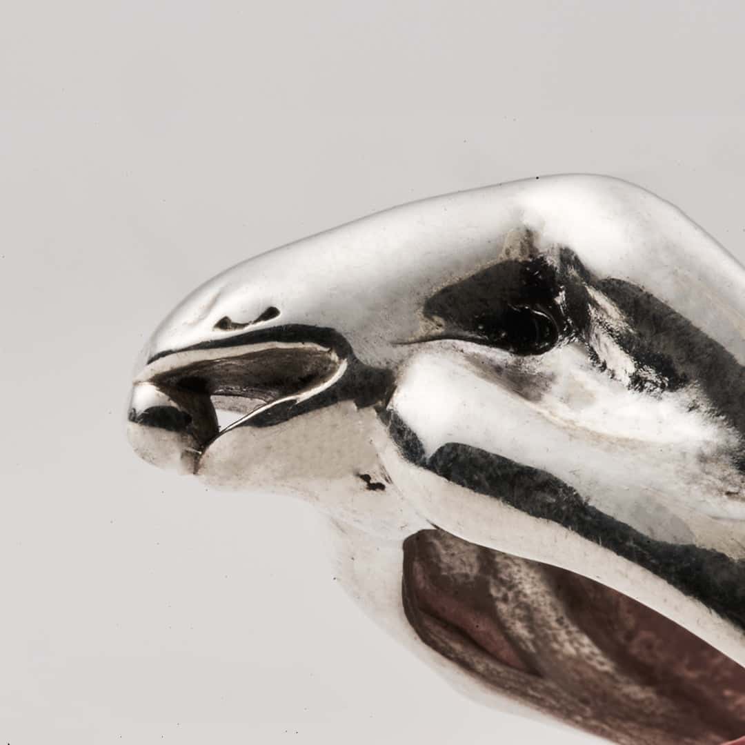 Anillo Rana - miniatura 2