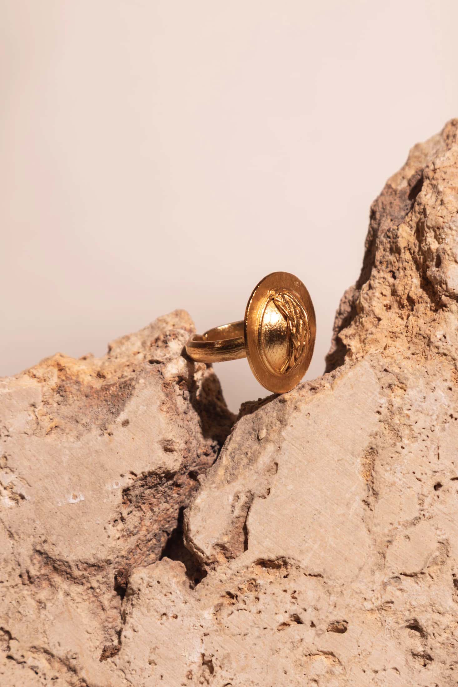 Anillo Jiípii/Tierra - miniatura 2