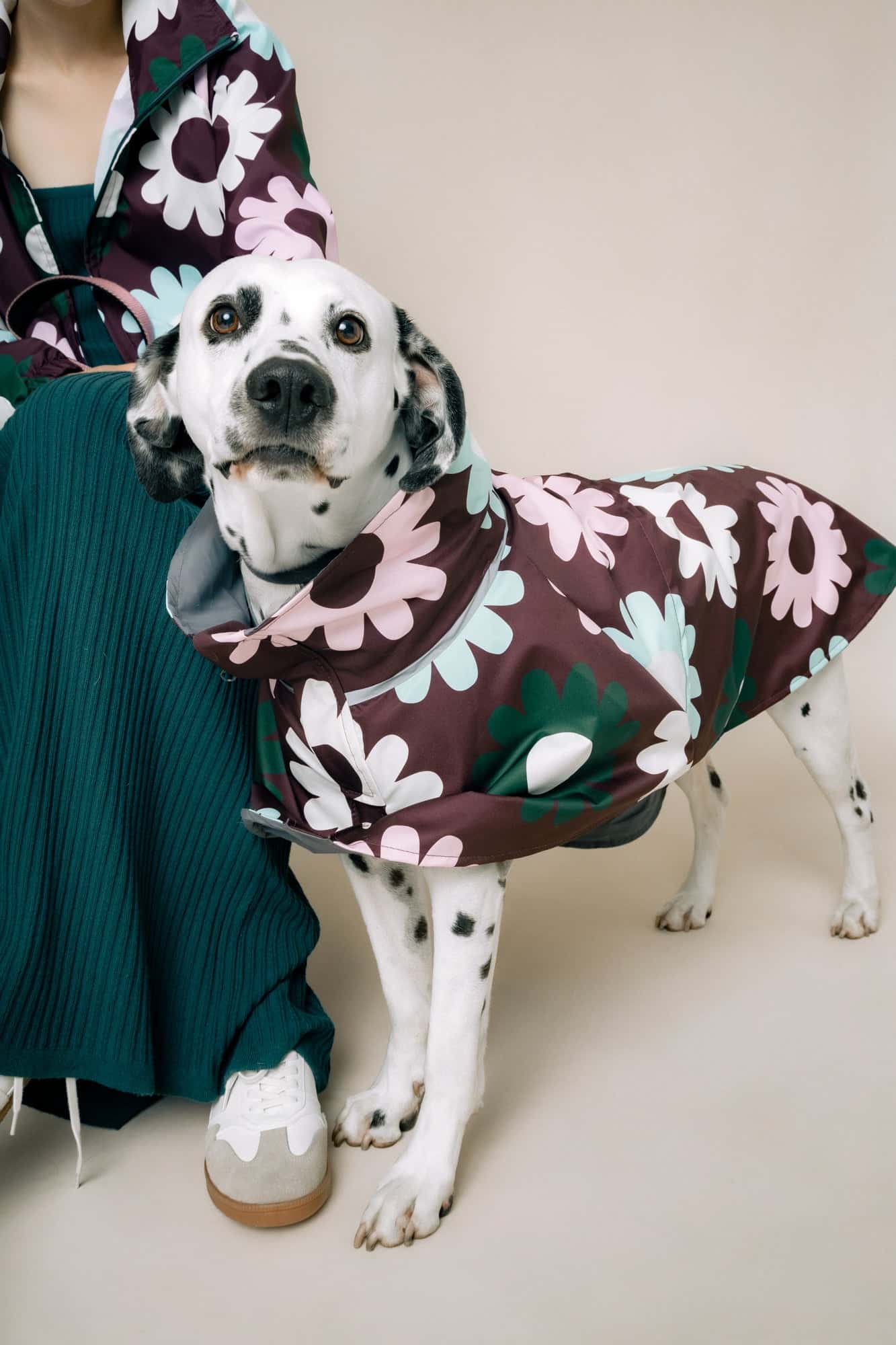 DOG´S RAINCOAT PETAL PLOP - miniatura 5