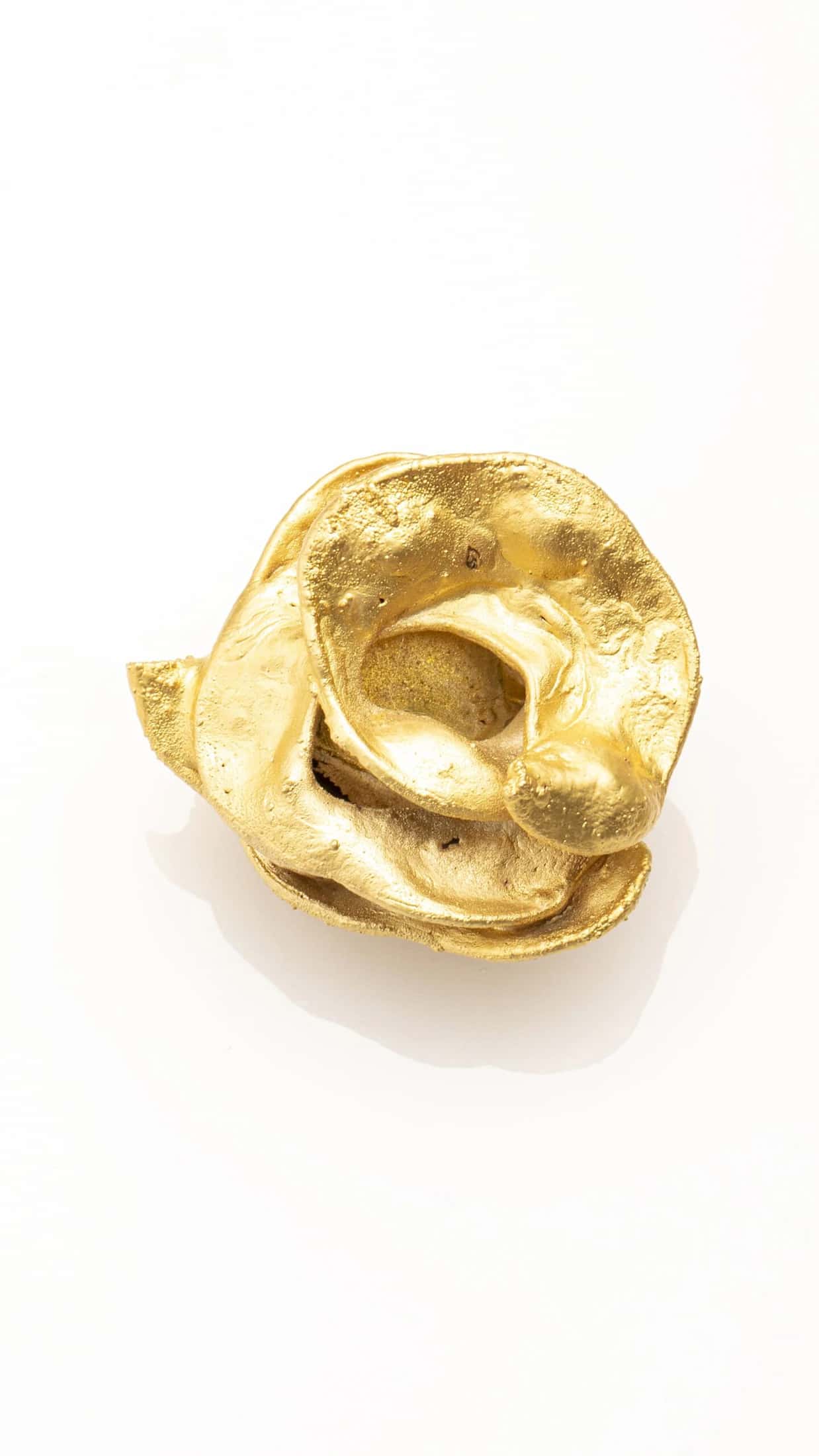 ACACIA BUTTON