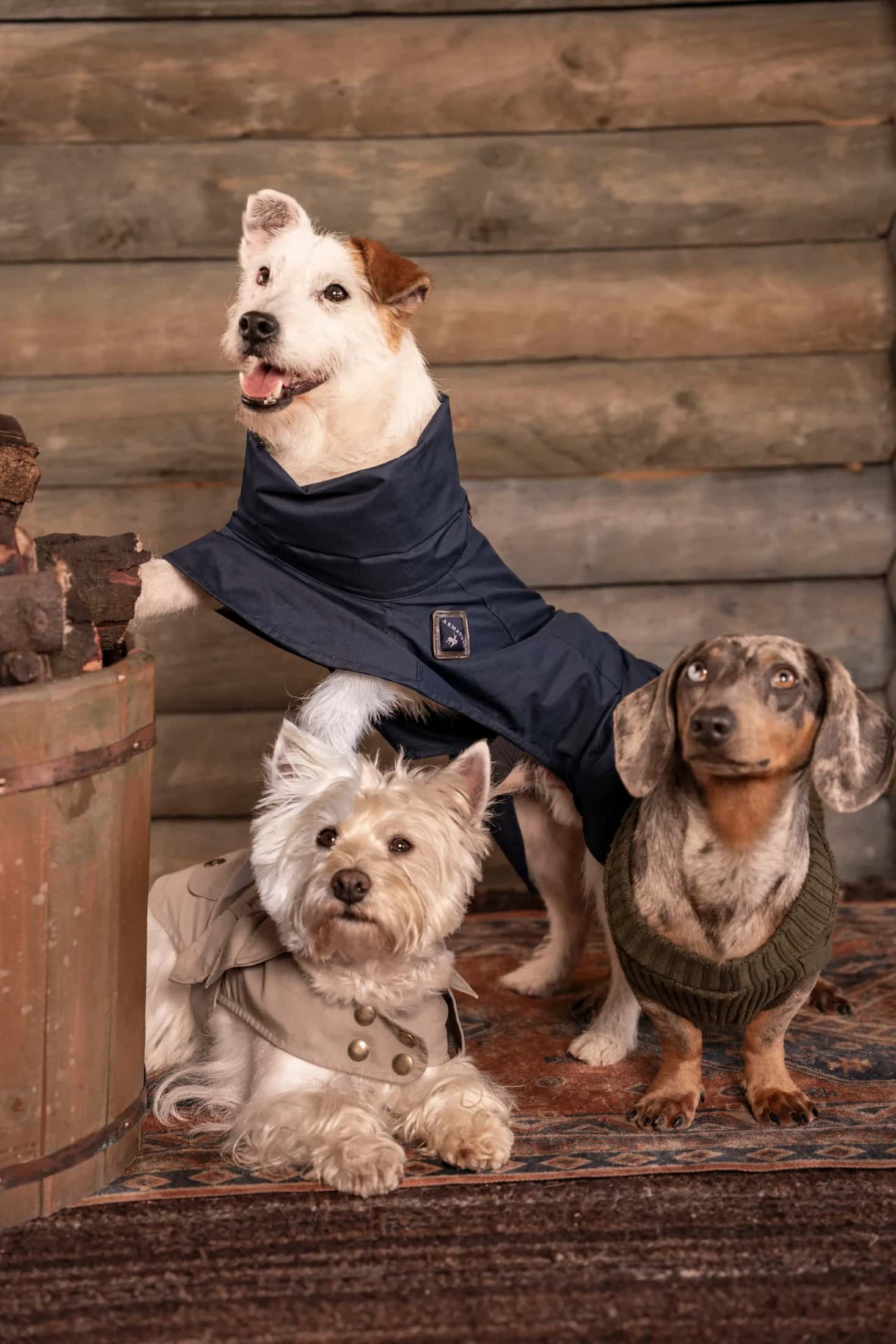 3-Pack Pet Essentials - miniatura 6