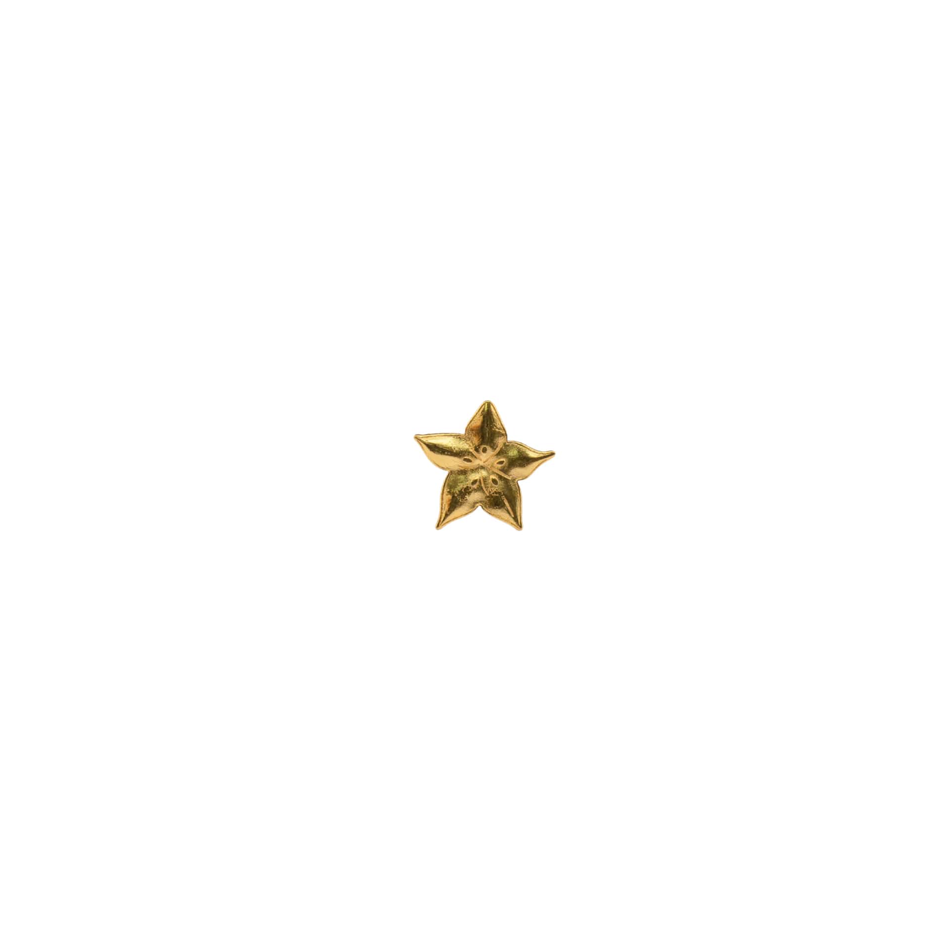 Baby Carambola Earcuff