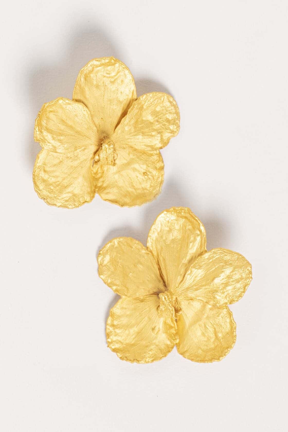 VANDA STUDS