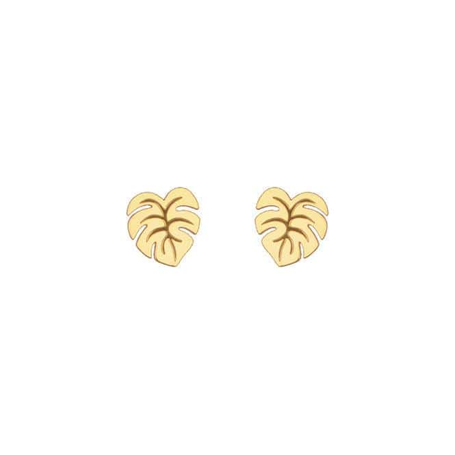Arete Hoja
