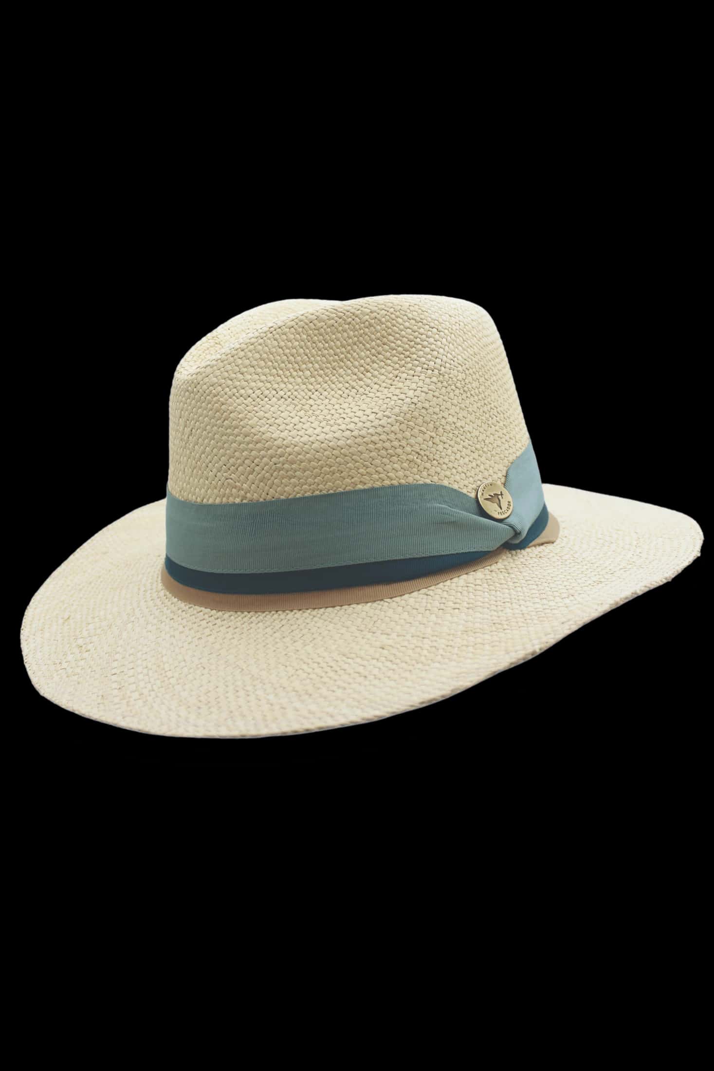 Sombrero Cinta Lugano Herraje Moneda