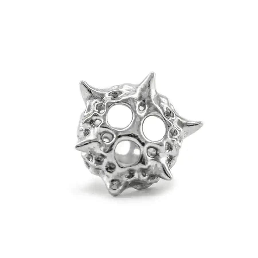 Anillo Hexancistra - miniatura 4