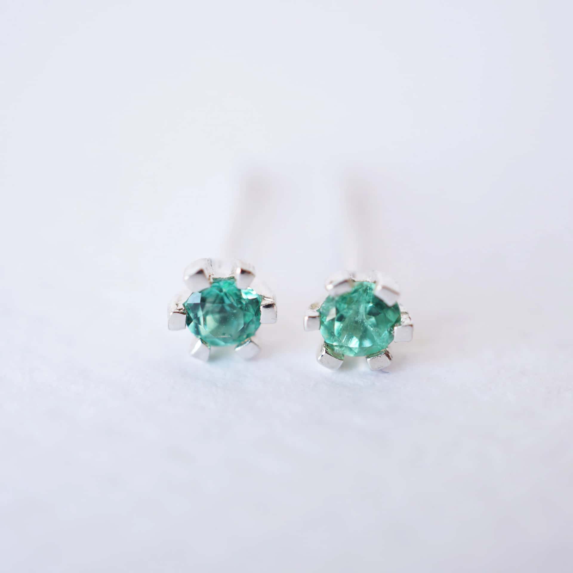 Aretes Dani