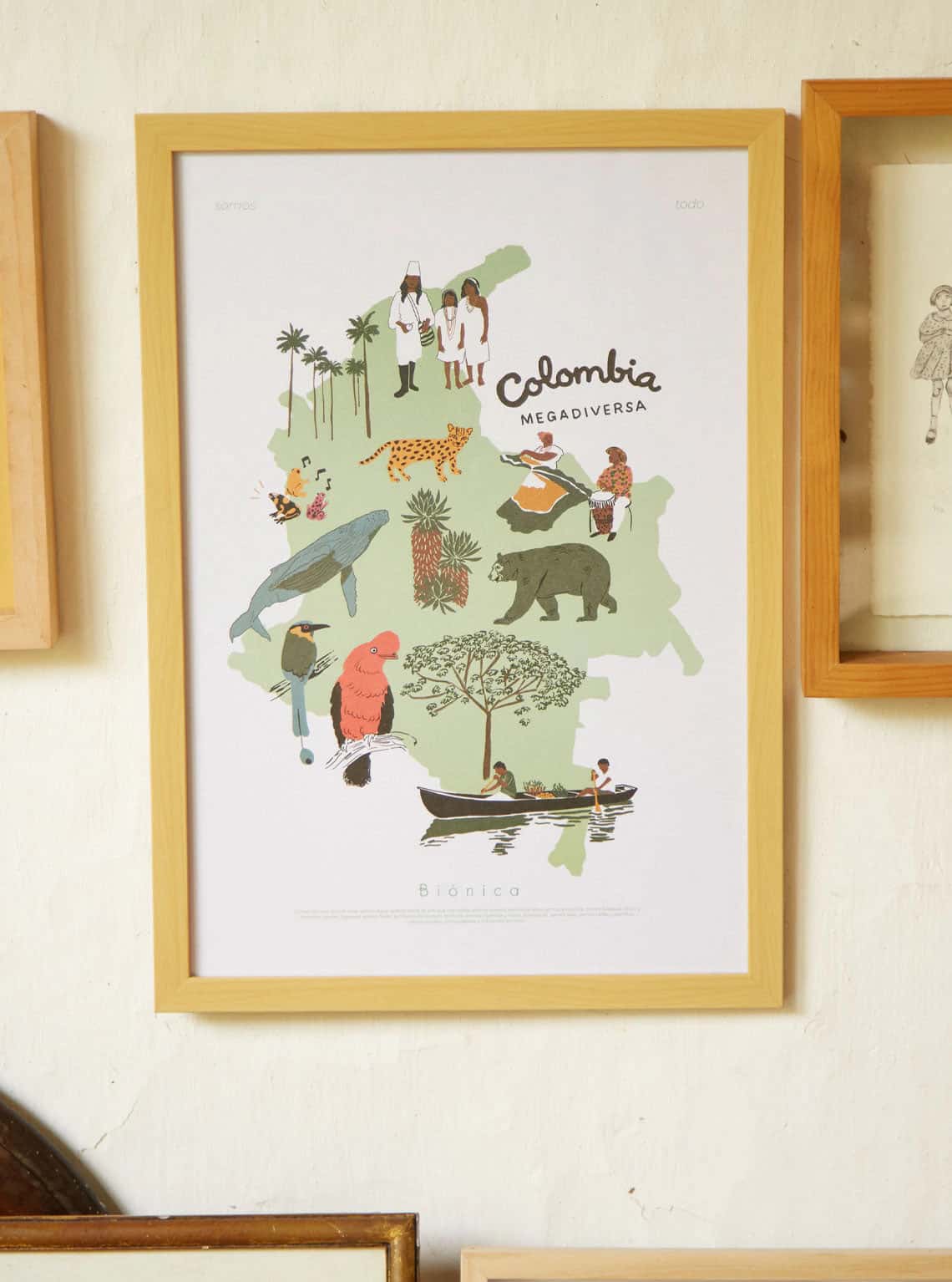 AFICHE MAPA COLOMBIA MEGADIVERSA