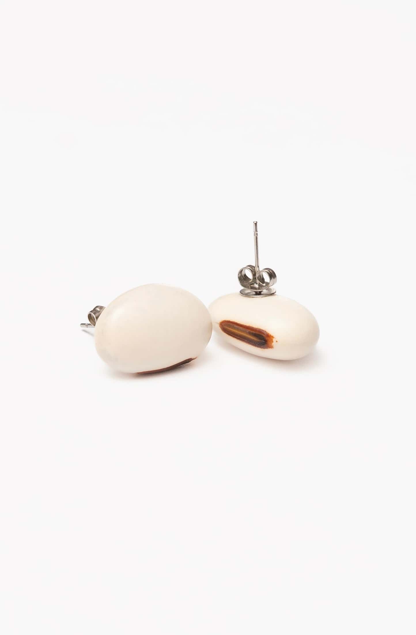 Topo Fríjol Blanco - miniatura 1