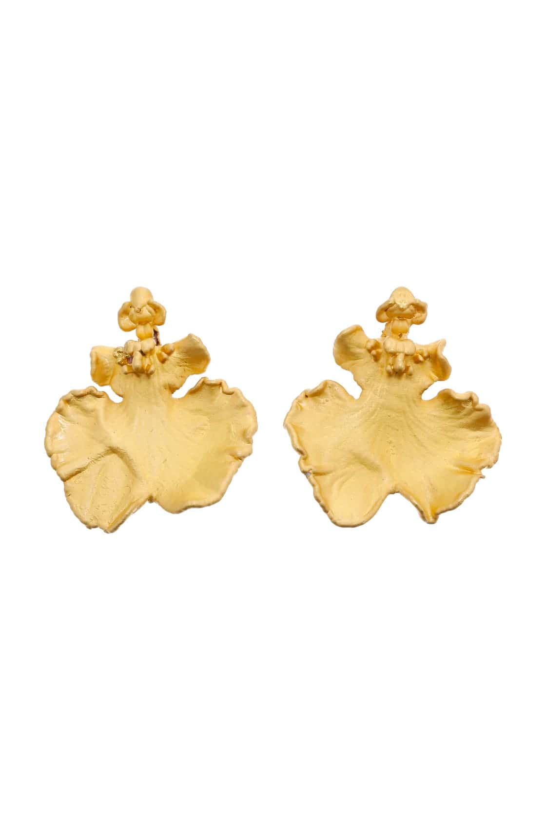 ONCIDIUM STUDS