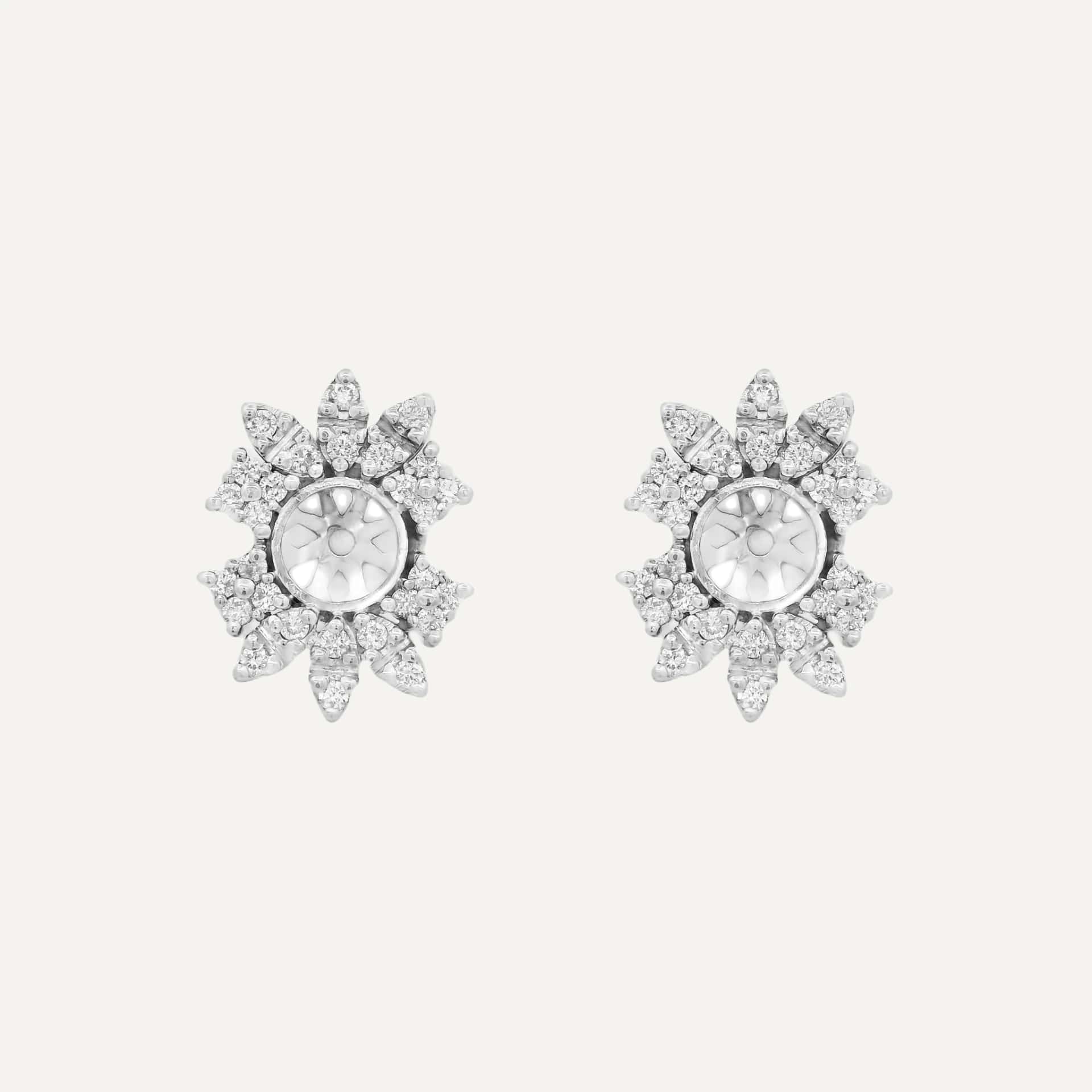 Jackets Marquises