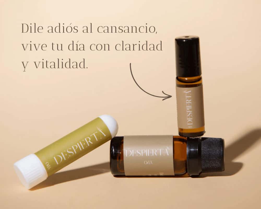 Kit Despierta