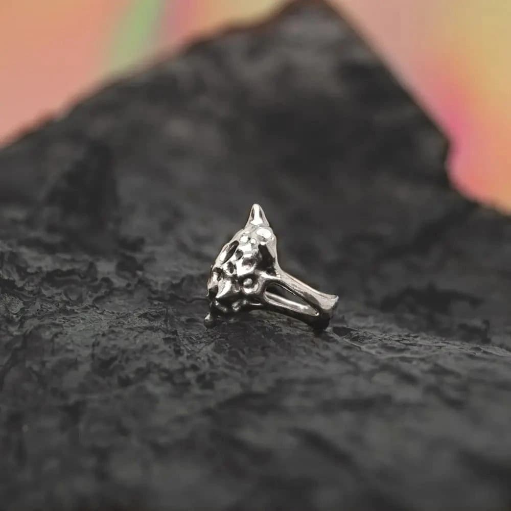 Anillo Hexancistra - imagen 2