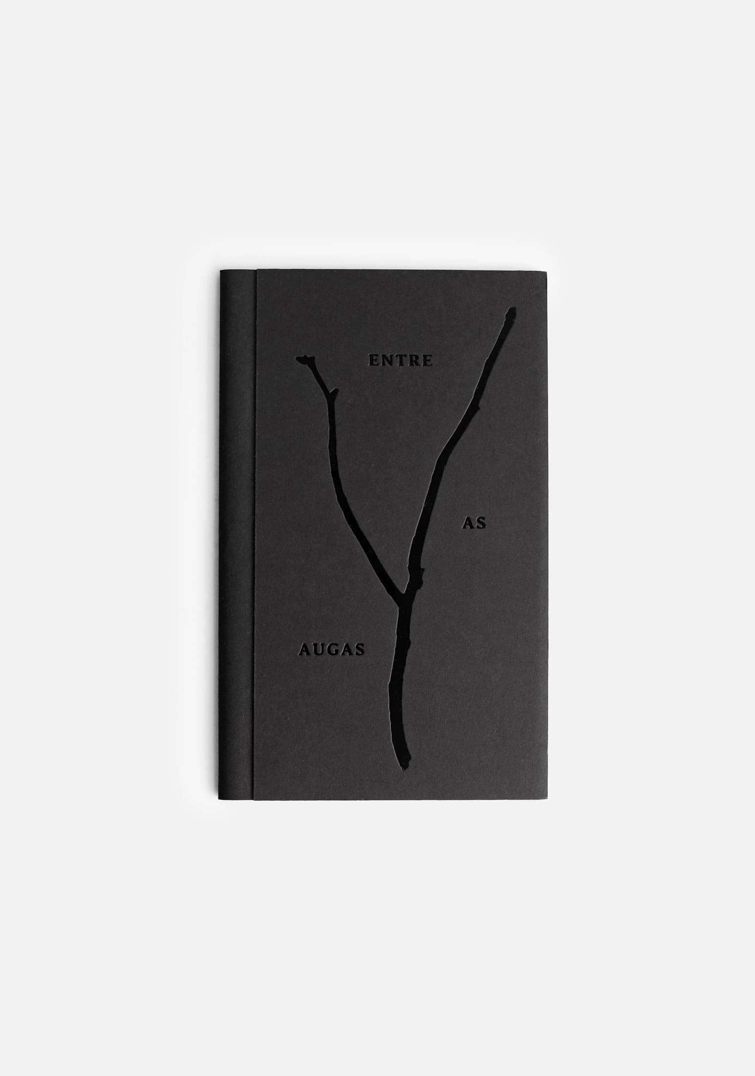 Libro Entre As Aguas ED. A&A - imagen 1