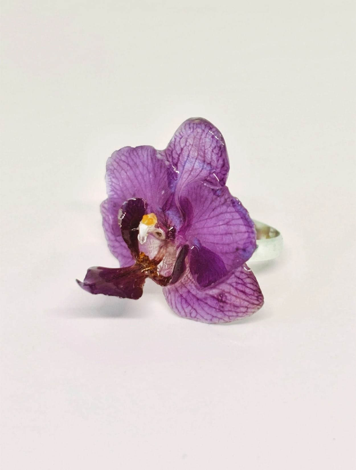ANILLO SAVIA - imagen 1