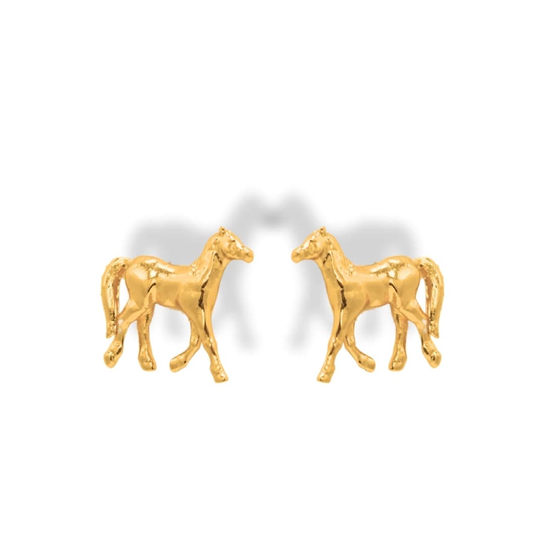 Aretes de caballo - imagen 2