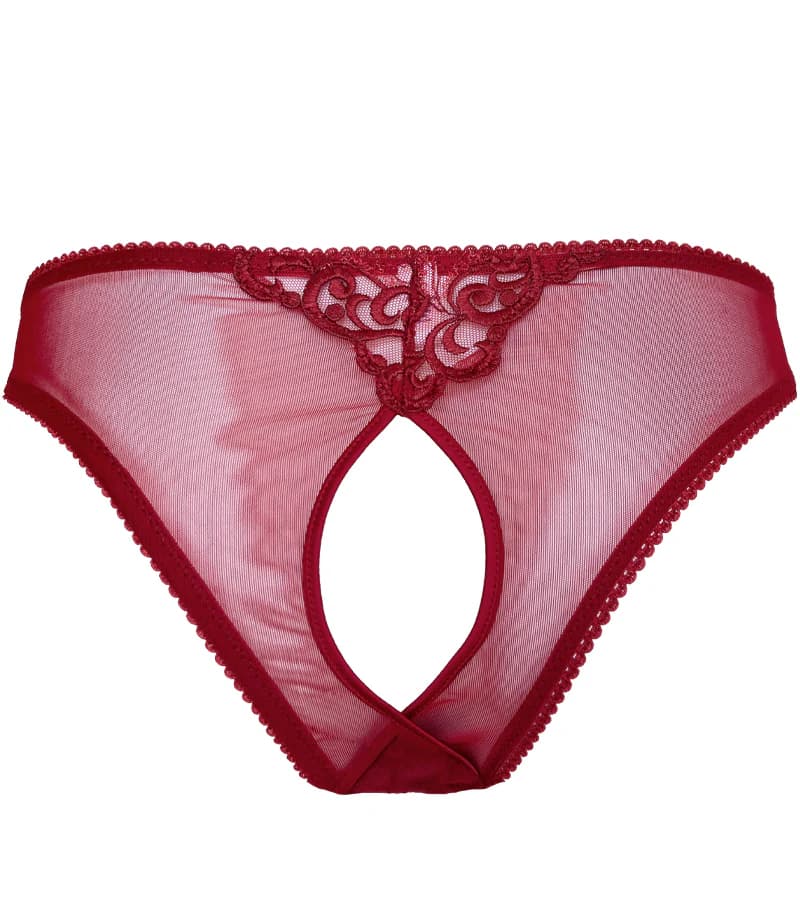 PANTY TULIP - imagen 3