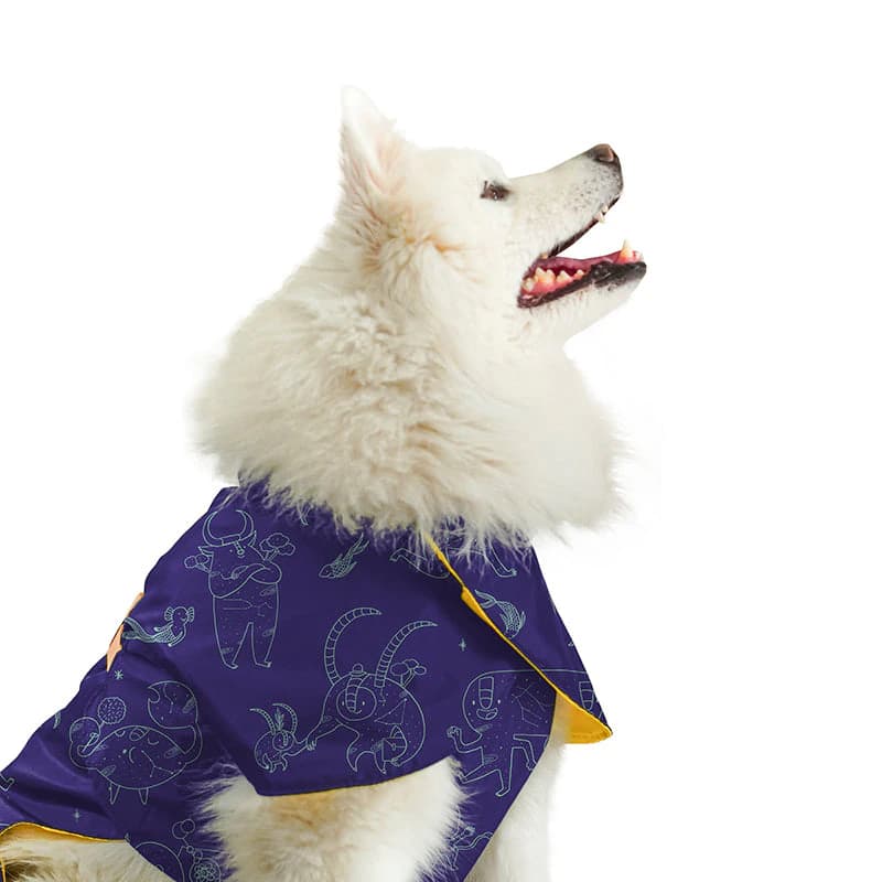 Capa impermeable para mascotas Guaduas Viajerxs Astrales - imagen 4