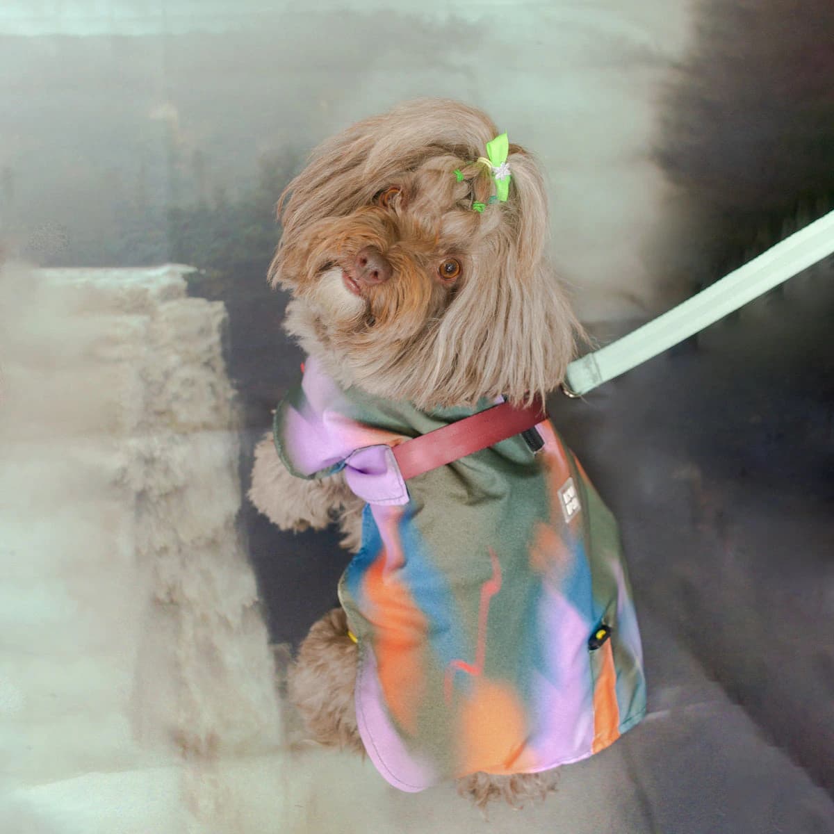 Capa impermeable para mascotas Guaduas De Noche