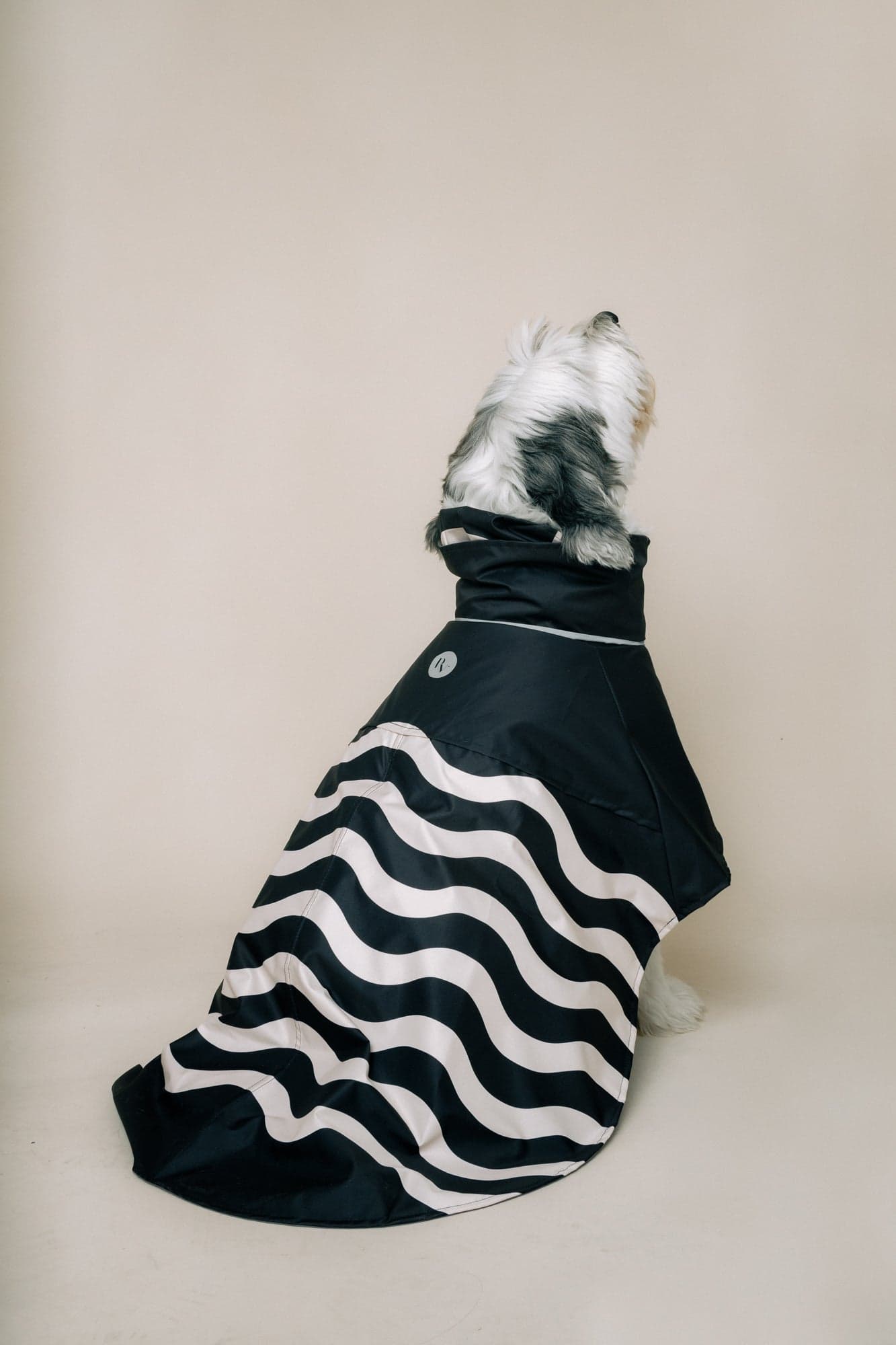 DOG´S RAINCOAT WAVES - imagen 3