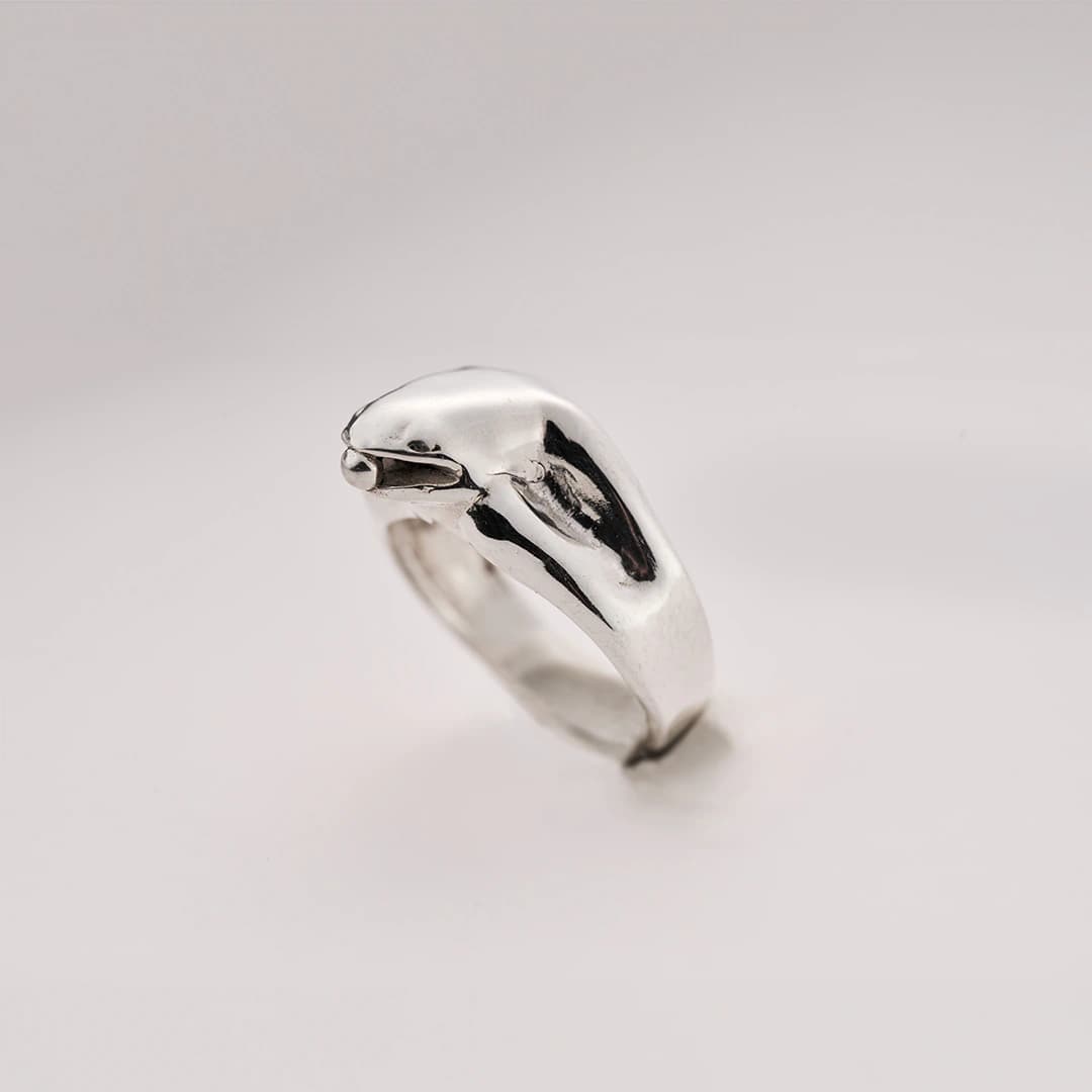 Anillo Rana - imagen 3