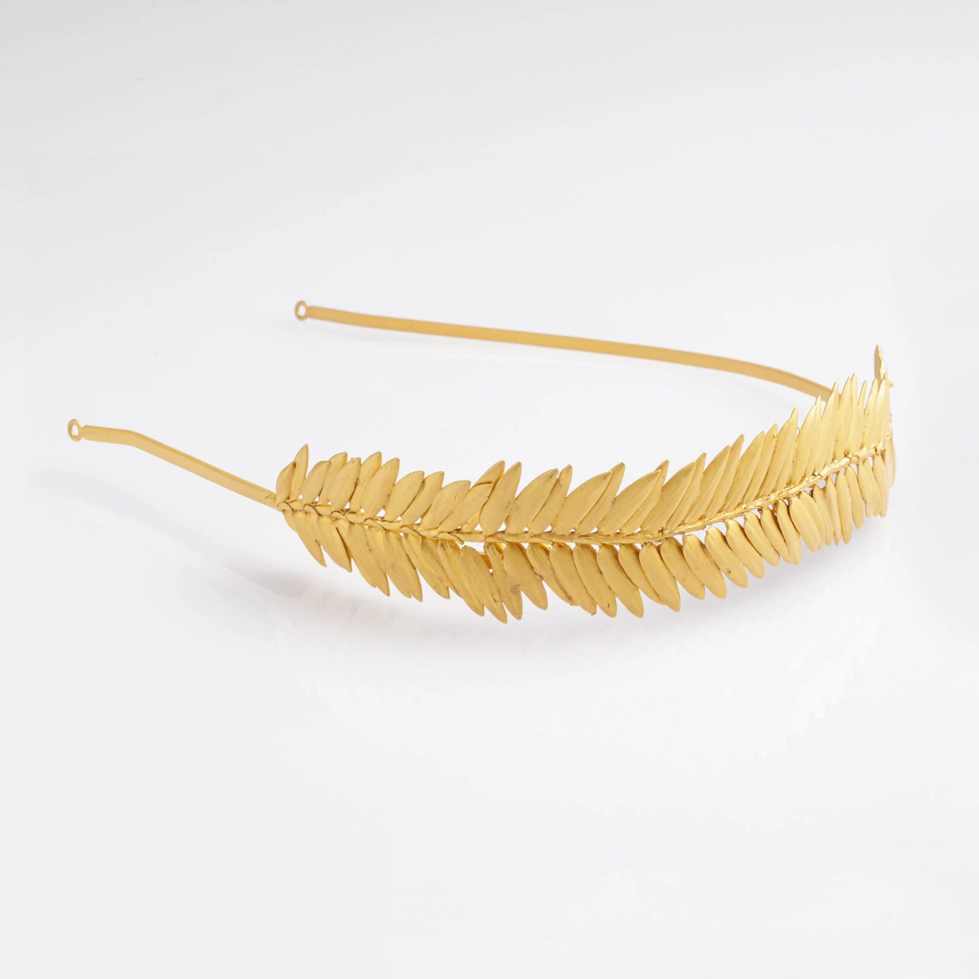 Simple Feather Fern HeadBand