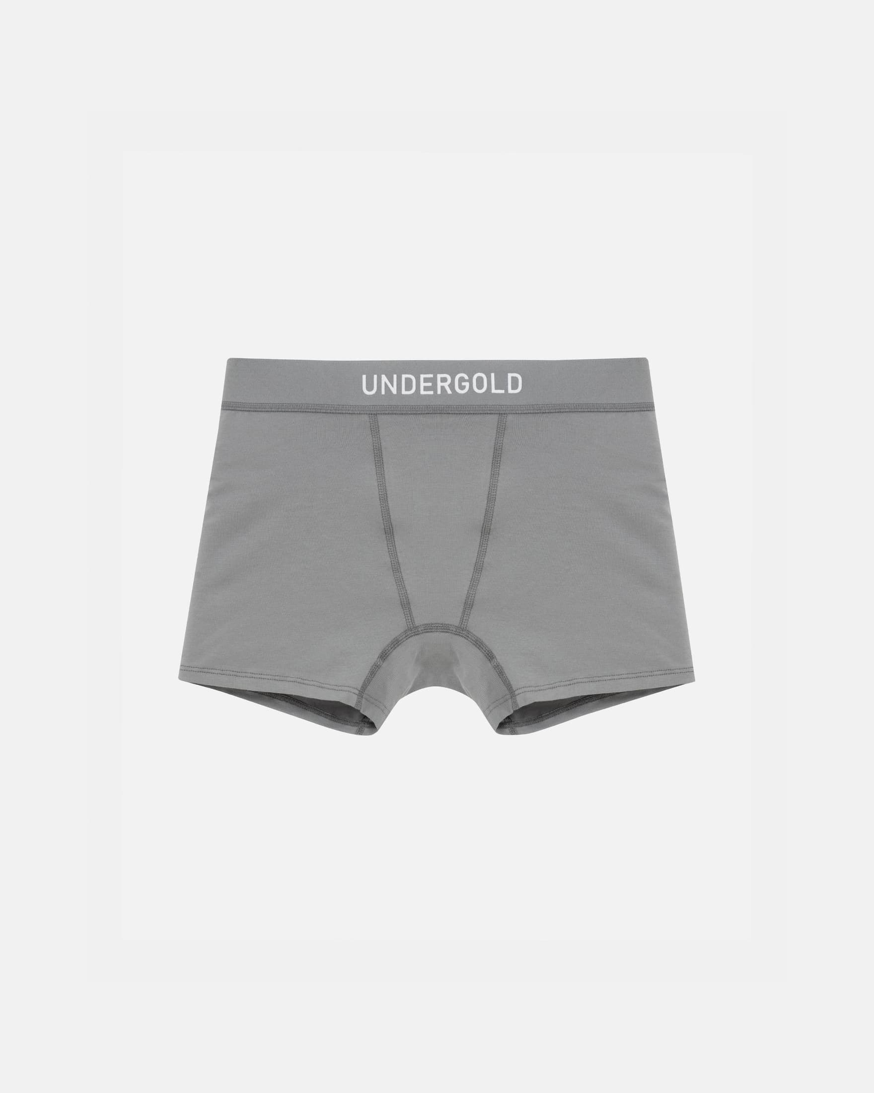 W Basics Boxers Gray - imagen 1