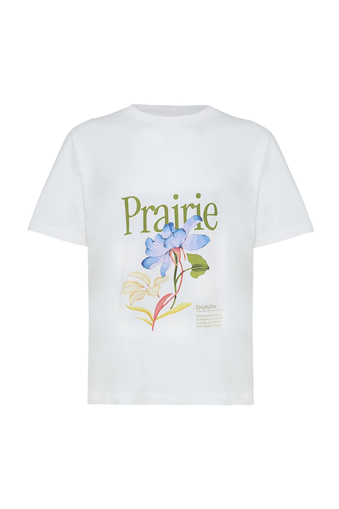CAMISETA MAYA GARDEN - imagen 4