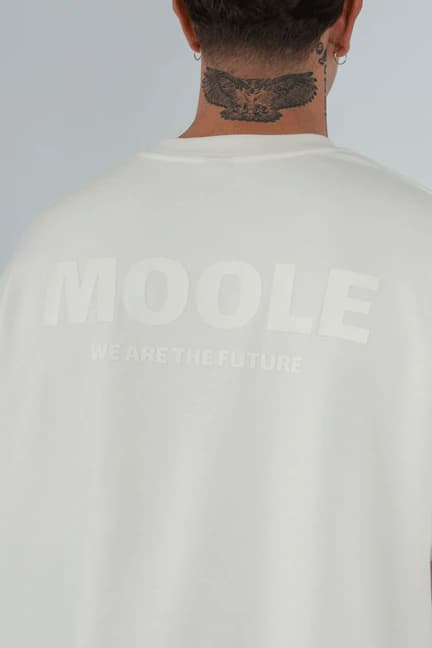 CAMISETA OVERSIZE ALTO GRAMAJE - imagen 18