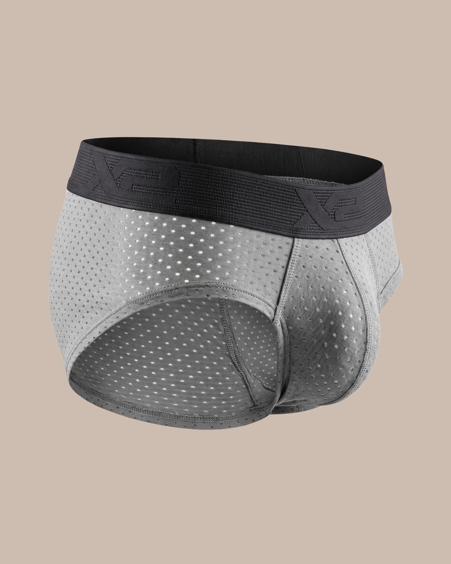 Brief Princeps Nylon Gris X2
